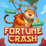 Fortune Crash