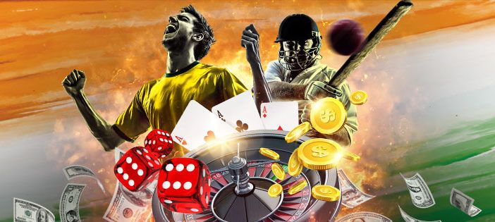 cricket king567 cricket king567