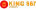 King 567 icon site